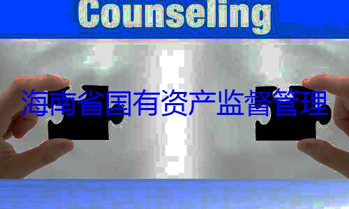 理委员会党查调查资产监督管委副书记王有福接受审海南省国有